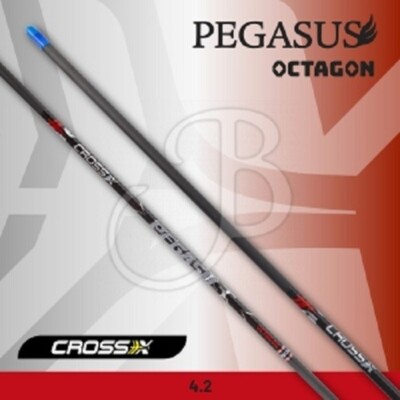 Cross X Carbon Schaft Pegasus Octagon Bogenschießen Pfeil Compound Nocke Spitze