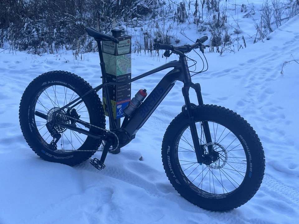 Bicicleta eléctrica Borealis Keystone Fat, grande Foto 2 de 3