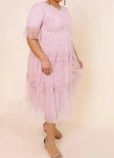 NWT Ivy City Co Size 5X Jules Dress Pale Pink Lace Embroidery