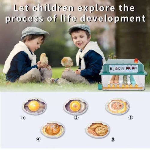 36x Egg Digital Incubator Hatcher Temperature Control Fully Automatic Turning - Picture 9 of 13