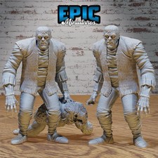 Epic Miniatures Frankenstein  s Monster, D D, Pathfinder.