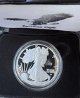 2025W Silver American Eagle Laser Engraved Proof Coin One Ounce