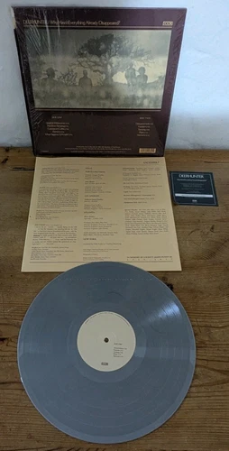 Deerhunter – Why Hasn't Everything Already Disappeared? (Grey LP Album 2019) - Picture 2 of 4