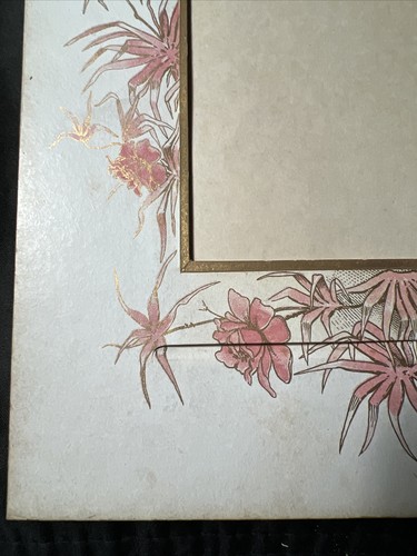 Página de álbum de tarjetas de gabinete de la década de 1880 difícil de encontrar ornamentado rosa floral para enmarcar fotos antiguas - Imagen 10 de 12