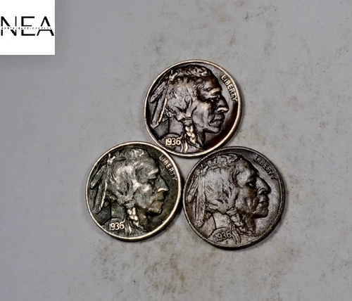 1936+1936-D+1936-S Buffalo Nickel Set/Lot ~ Almost Uncirculated AU ~ ZBL70