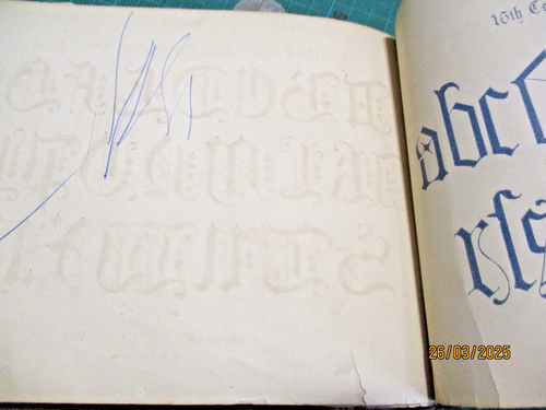 F Delamotte THE BOOK OF ORNAMENTAL ALPHABETS ANCIENT AND MEDIAEVAL hc c1858 - Picture 13 of 16