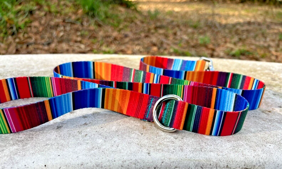 Correa para perro a rayas audaces - correa para perro de 4 pies, correa para perro de 6 pies, correa para perro de 8 pies Foto 2 de 4