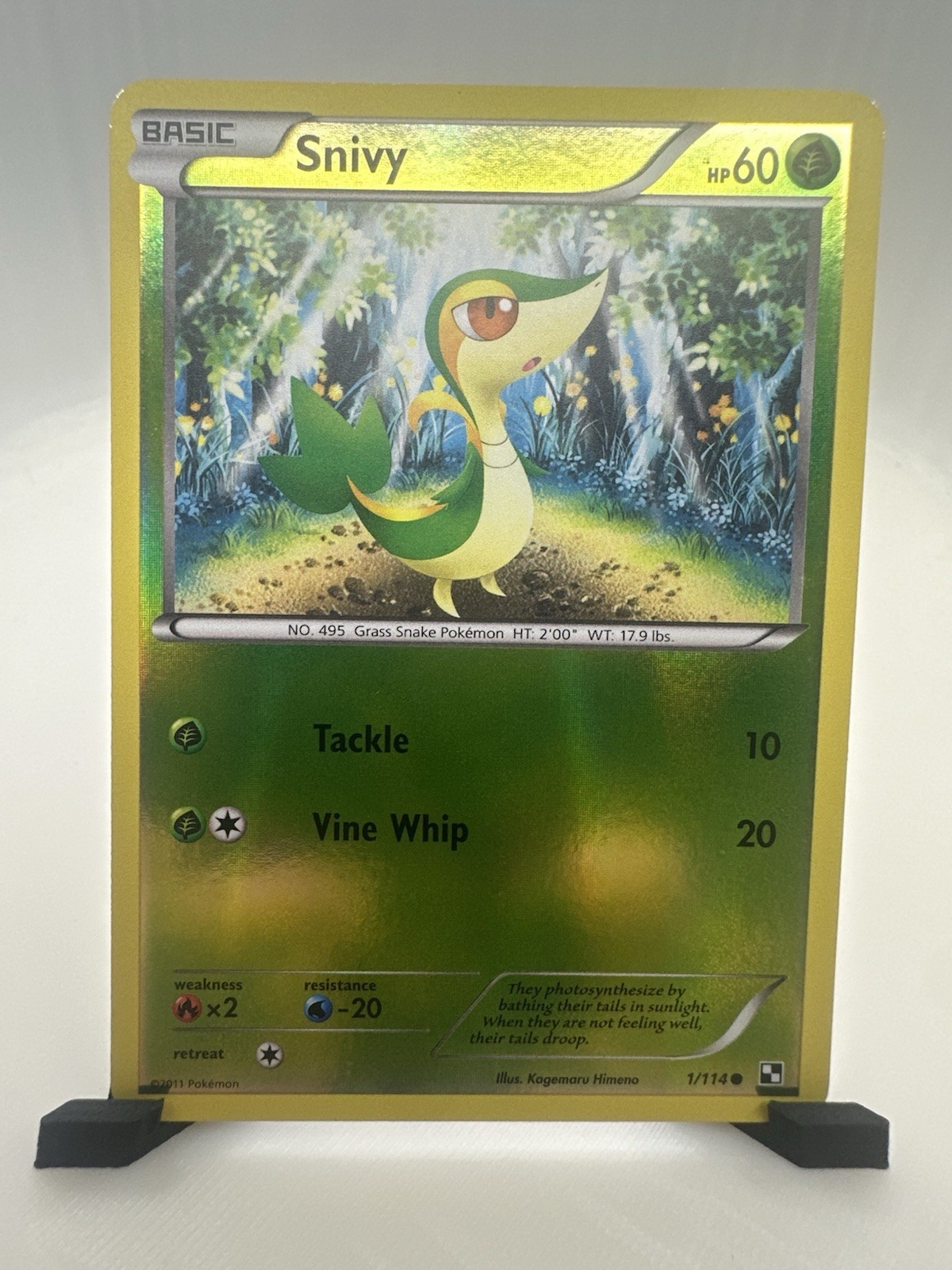 Snivy 1/114 Common Black & White Pokemon Reverse Holo Lightly Played