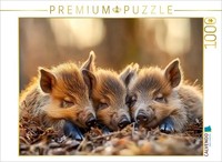 Calvendo Puzzle Wild Boars | 1000 Pieces, Finished Size 25.2 × 18.9 In (64 × 48