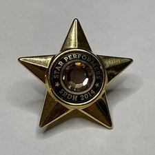 Lapel Pin - Star Performer SRDH 2014 S79