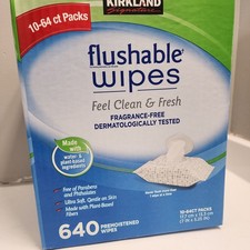 kirkland flushable wipes 640 Premoistened Wipes 10 Count
