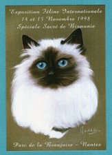 Chat : Sacré de Birmanie , Exposition Féline Nantes  / CPA-Carte-Postale /