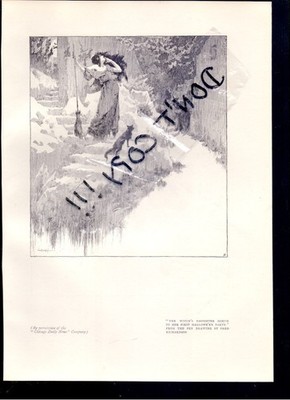 1906  Fred Frederick Richardson Witch's Daughter, Des Plaines, + Text