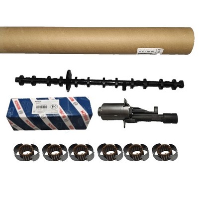 Eccentric Shaft Valvetronic Actuator kit for BMW 535i 740i X3 X5 N55 3.0 US