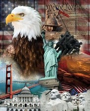 Quilts of Valor Patriotic 45" Wide Panel Fabric