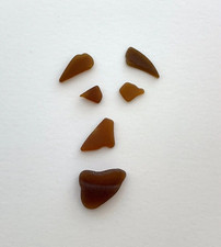 10 Surf Tumbled Beach Sea Glass Seaglass Frosted JQ Amber Brown ocean art craft