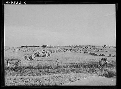 Red River Valley,ND,North Dakota,Farm Security Administration,August 1941,FSA,8