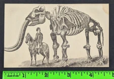 1883 Guano Fertilizer Analysis Mammoth Bones 24 Pg Advertising Booklet Baltimore