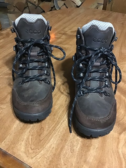 ebay ecco boots