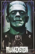 POSTER : MOVIE REPRO : FRANKENSTEIN - BORIS KARLOFF 1931 -FREE SHIP #844