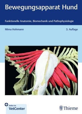 Bewegungsapparat Hund Mima Hohmann