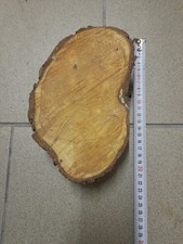 Zuckerfichte Holz Drechseln Edelholz SELTEN angeboten 