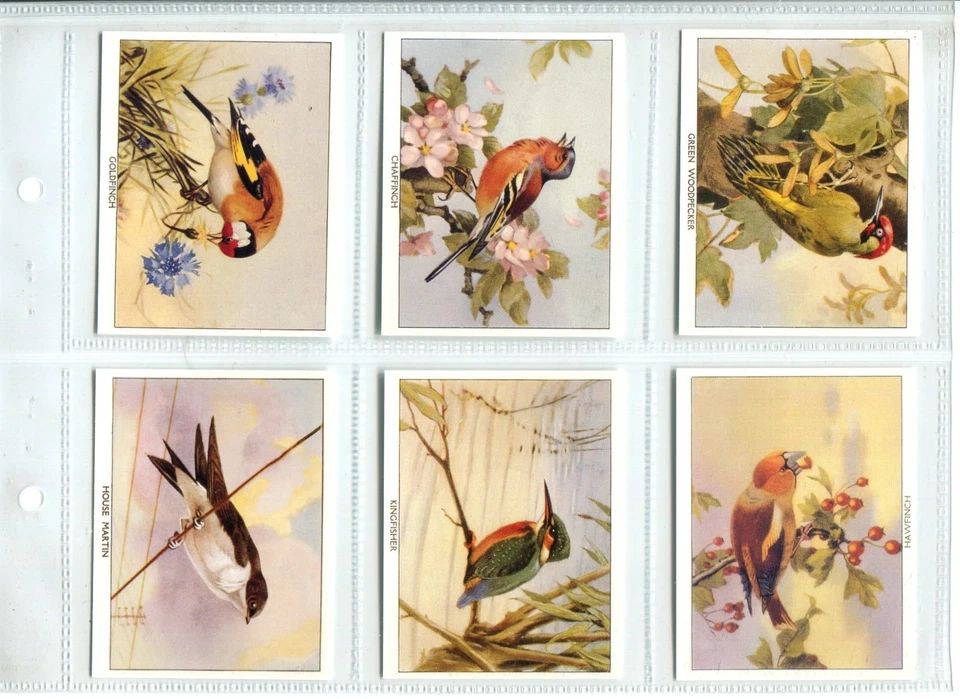 Birds of Britain 1994 Imperial Tobacco Repro Cigarette Cards - Set of 24 Cards - Image 2 of 4
