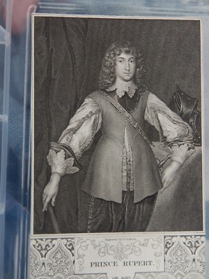 Kupferstich PRINZ RUPERT früher Stich