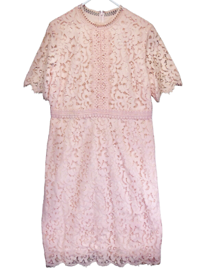 Rachel Parcell Pink Lace Sheath Dress Size XL Romantic Spring Easter  Wedding | eBay