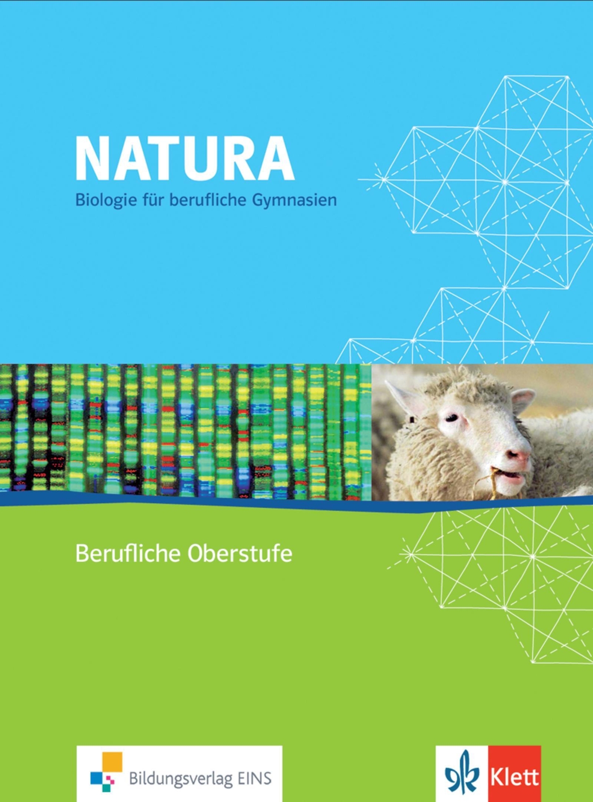 Thumbnail - Natura - Biologie Für Berufliche Gymnasien | Taschenbuch | Deutsch