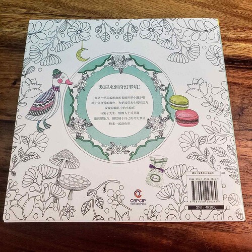 FANTASY DREAM (CHINESE EDITION) By Huang Li & Shen Feng Ru Coloring Book - Picture 4 of 6