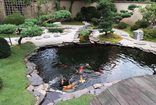 Polyex Koi Fish Pond Liner 26' 2'' X 19' 6'' (8m x 6m), Black Brown Reversible - Picture 7 of 8