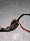 Foto 4 di 8