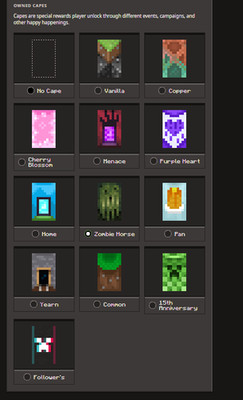 12 cape minecraft