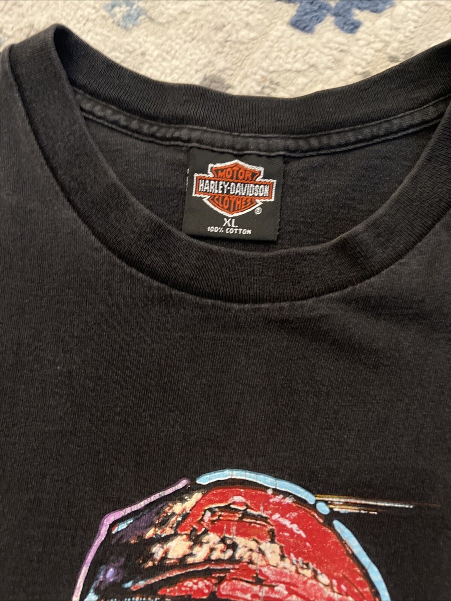 Harley Davidson VTG 1993 Paul Smith Painting Single Stitch USA