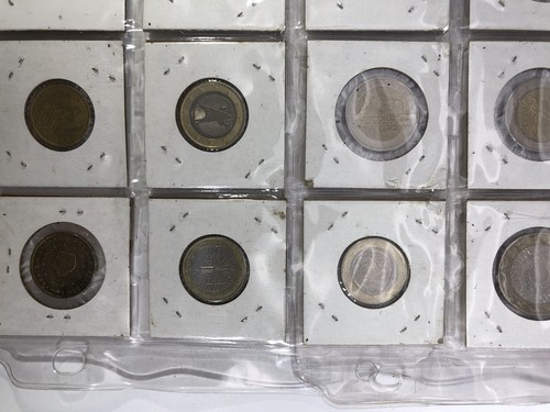 European Coin Lot - Multi Nation Euros and British Pound 1999 - 2004 - Picture 13 of 18