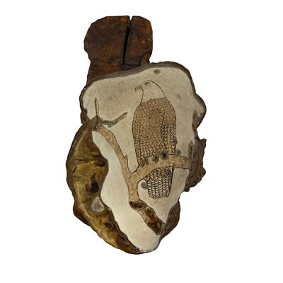 Bald Eagle Hand Carved into dryTree Mushroom Fungus Folk Art, Alaska, Wall Decor