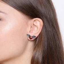 Red Winged Heart with Keyhole Earrings Stainless Steel Jewelry By Controse