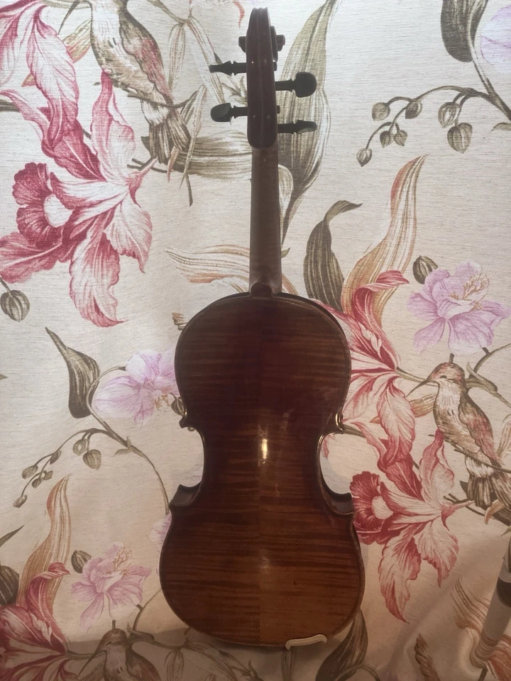 4/4 Violine von Albin Ludwig Paulus Jr. 1866 - 1946 - Image 2 of 4