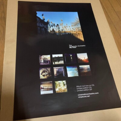 Cinematic Orchestra / Ma Fleur 2007 UK Original Promo Poster A2 16x23in