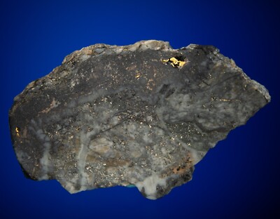 Gold with Hessite, Petzite and Pyrite Cash Mine, Boulder, Colorado 1900-162