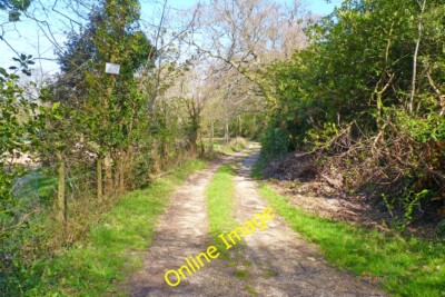 Foto 12x8 Privater Weg Godswinscroft Dies führt zu Eggenwald, Teil von c2013