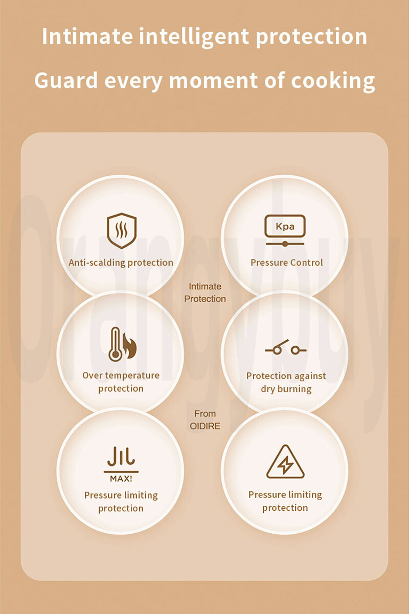 Lyeef Electric Pressure Cooker 9In1 Multi Function Warmer Cooking LED