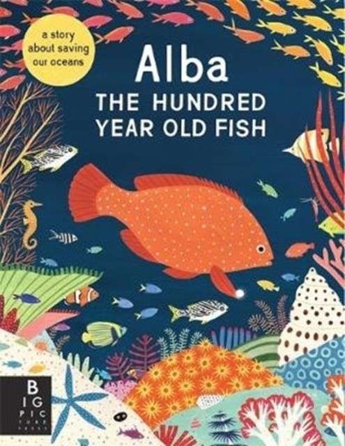 Alba the Hundred Year Old Fish by Lara Hawthorne, Lara Hawthorne - 9781787417298 - Image 6