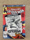 Amazing Spiderman Annual  #15 Punisher