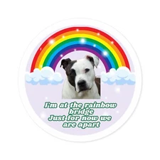 Pitbull Black Spot Dog - I'm At The Rainbow Bridge Memorial Vinyl Decal Sticker