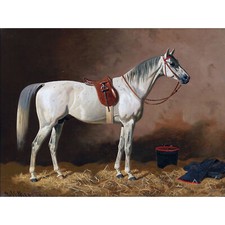 Volkers Grey Horse In Stable Animal Equine Painting XL Canvas Art Print