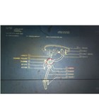 Picture 2 of 7