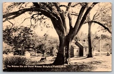 Postcard Webster Elm Tree Daniel Webster Birthplace Franklin New Hampshire A47