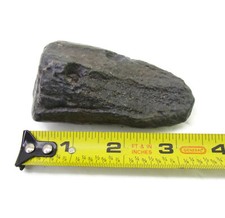 Ancient Petrified Bone Specimen ~  153 Grams